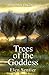 Shaman Pathways - Trees of the Goddess: A New Way of Working with the Ogham by 