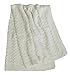 Heritage 'Ophelia' Ivory Shawl