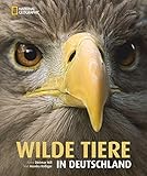 Image de Wilde Tiere in Deutschland: Mit einem Vorwort von Andreas Kieling