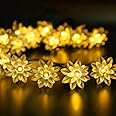 fizzytech 25 Led Lotus Flower Decoration Lights Plug in Fairy String Lights Diwali Christmas, Lights of Home Decoration (4 Meter Warm White)