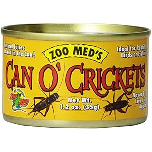 Zoo Med Can O' Crickets 34g, Pack Futterinsekten, Grillen für Reptilien und Amphibien