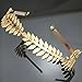 Pixnor Gold Leaf Headband Vintage Boho Alice Bridal Hair Crown Leaf Tiara