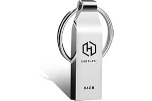 dolrun Memoria USB 64 GB - Memoria Flash USB Alta Velocidad Pen Drive Impermeable con Llavero Portátil Pendrive con Carcasa de Metal Duradera 64GB
