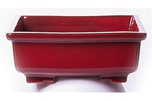 Alfareros Damian Canovas Maceta para Bonsai DE Barro Y ESMALTADA EN Color Rojo Medidas 28X22X10CM.Modelo Kobe. con TU Compra TE REGALAMOS EL Plato.