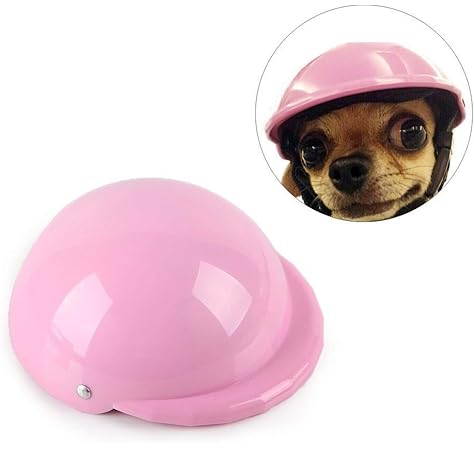 dog hard hat