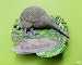 Produktbild 3D Neuseeland Kiwi Vogel Kühlschrank Magnet, Tourist Souvenir Magnete Geschenk