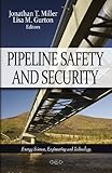 Image de Pipeline Safety and Security