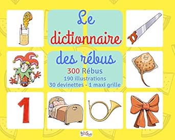 Le Dictionnaire Des Rebus 300 Rebus 1 Ebook Millemann Gilles Amazon Fr Livres