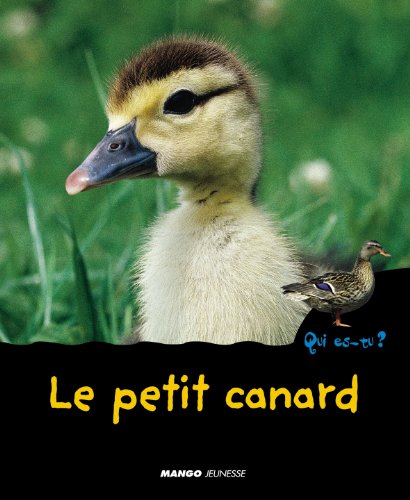 Le  petit canard
