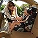 Britax Evolva Plus Group 1/2/3 Combination Car Seat (Smart Zebra)