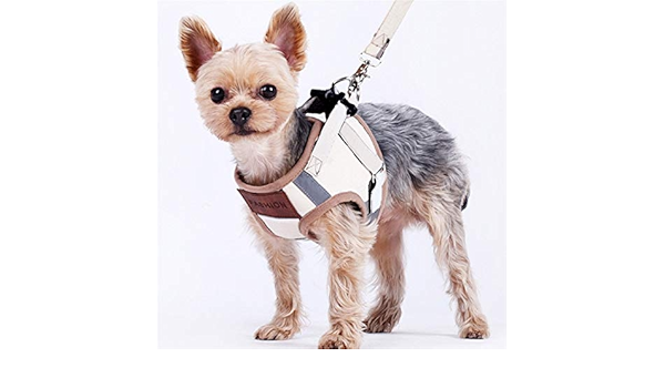 chihuahua harness amazon