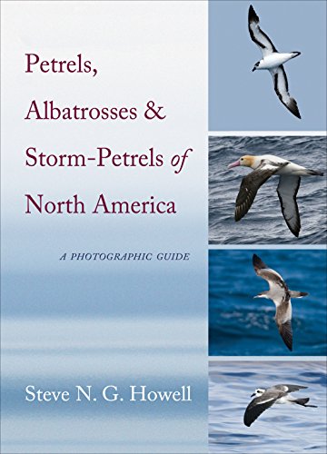 Petrels, Albatrosses, and Storm-Petrels of North America: A Photographic Guide (English Edition) livre