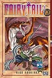 Fairy Tail Vol.19