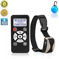 Donde comprar collar electrico para perros Donde comprar collar electrico para perros