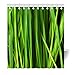 Produktbild Violetpos Duschvorhang Grün Gras Natürlich Leben Hochwertige Qualität Badezimmer 180 x 200 cm