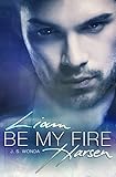 Cover zum Buch Be My Fire