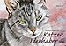 Tageskalender für Katzenliebhaber 2016: Tages-Aufstellkalender by 