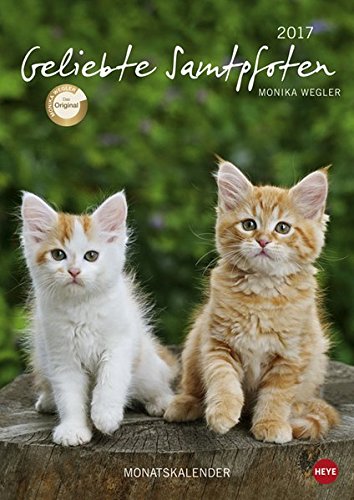 Geliebte Samtpfoten Monatskalender - Kalender 2017