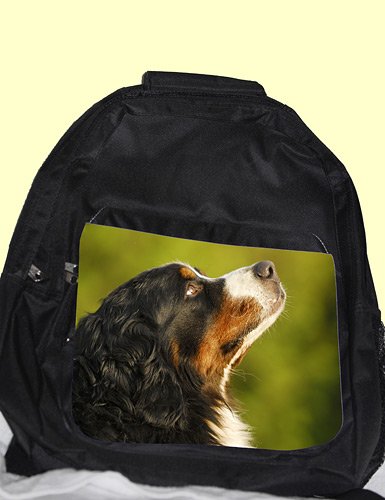 Preisvergleich Produktbild Rucksack Berner Sennenhund