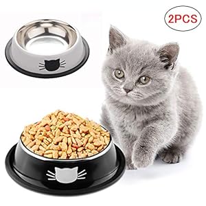SaponinTree Cuencos para Gatos, 3 Piezas Cuencos Antideslizantes de Acero Inoxidable Comida Cuencos para Gatos, Cuencos Agua Comida Alimentación Platos para Mascotas, Perros, Gatos