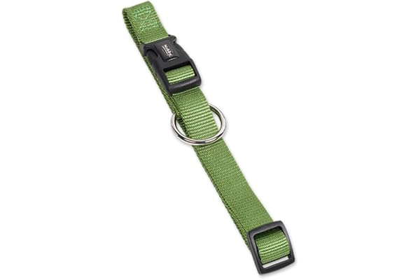 Nobby Halsband Classic, lindgrön L: 13–20 cm, B: 10 mm, 1 st