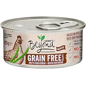 Beyond Purina Humidido Gato Grain Free Rico en Pollo con faisanes, 12 latas de 85 g Cada una (12 x 85 g)