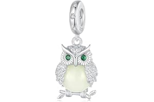 SHIYU Pendentif Charme Hibou Lumineux pour Bracelets Pandora,breloques en Argent Sterling 925 qui Brille dans le Noir,Cadeau pour Femmes et Filles