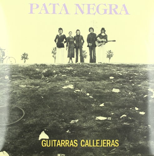 Lp Guitarras Callejeras