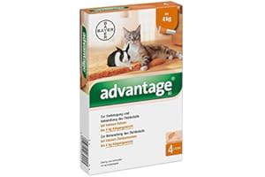 BAYER VITAL GMBH GB - TIERGESUNDHEIT ADVANTAGE 40 mg Lsg.f.kl.Katzen/kl.Zierkaninchen 1.6 ml Lösung by Advantage