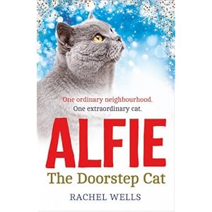 Alfie the Doorstep Cat