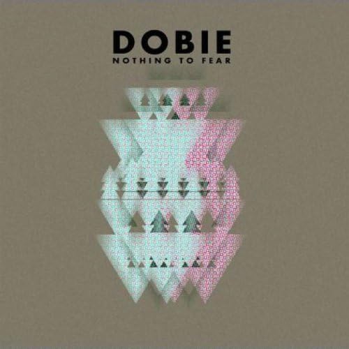 Nothing to Fear [12" VINYL]