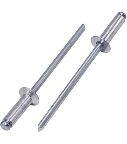 BESTYCHAO 100 Pièces De Rivets Aveugles En Alm 4.8 X 12mm, Rivets à