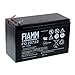 Price comparison product image FIAMM replacement battery for USV APC Back-UPS ES700, 12V, Lead-Acid