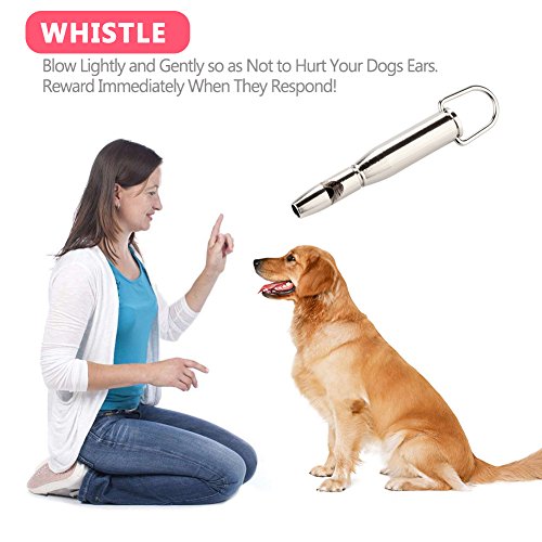 SHENNOSI-Dog-whistle-to-stop-barking-with-whistle-lanyard-clicker-silent-repeller-training-silver-whistle-for-Pets-Cat-Pigeon-Eagle