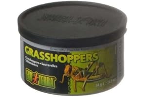 EXO TERRA Exoterra Aliment Sauterelles Sauvages Small pour Reptiles et Amphibiens 34 g