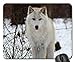 Produktbild White Lakota Wolf Mouse Pad, Mousepad (Dogs Mouse Pad)
