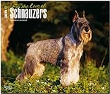 Schnauzers - For the Love of 2014 - Schnauzer: Original BrownTrout-Kalender - Deluxe [Mehrsprachig] [Kalender] by 