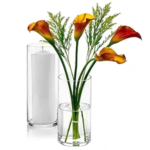 Aakriti Cylinder Glass Flower Vase/Flower Pot for Table Decor Flower Vases for Living Room Set of 2