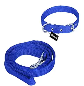 Quickato Dog Belt Combo of Blue Collar with Blue Dog Leash, Adjustable Neck Size 37-49 cm Dog Collar & Leash Dog Collar & Leash