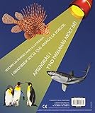 Image de Animals del mar (Llibre llanterna)