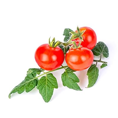 Veritable Lingot® Tomates cerises - Compatible Véritable® Potager - Recharge prête à l'emploi