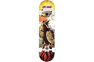 Tony Hawk SS 180 Complete