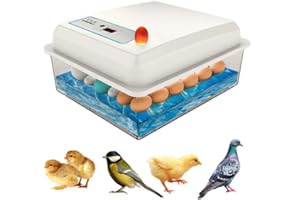Carziyer 20 Uova Incubatrice Uova Automatica per Galline, Incubatrice Uova, Controllo della temperatura, Visualizzazione dell'umidità, adatto per uova di gallina, uova di quaglia, uova di anatra