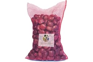 AMANTI TASTE AND PASSION Castagna Bottega di Acerno | Sacco Castagne con Guscio 5Kg | Dimensione 65-70 | 100% Italiane | Campania Monti Picentini | Raccolte a Mano