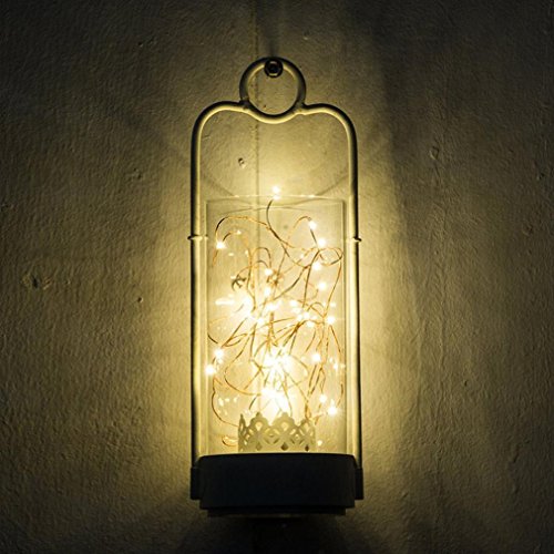 WINWINTOM 2M 20 LED-Knopf-Zellen-angetriebene Draht-mini feenhafte Schnur-Lichter (Warm Weiß) - 3