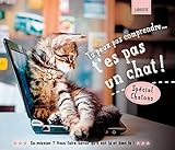 Tu peux pas comprendre, t'es pas un chat !