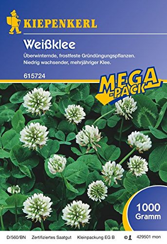 Weißklee, 1 kg - 1 Foliensack/ 1 kg