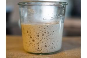 Certified Organic Live Sourdough Starter, Very Old and Mature - 46 year old Lake District Starter, Bread Starter - 80g for all types of flour with printed instruction by Kombuchaorganic®