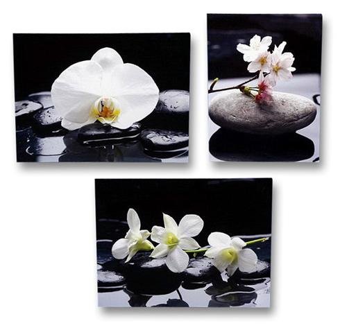 3 er Set Wandbild blühende Orchidee auf Stein je 30cm x 40cm Leinenbild Feng Shui