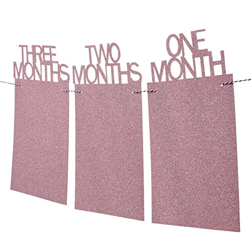 confronta il prezzo KMALL Album di foto per bambini Primo anno Cabina fotografica Banner di compleanno Partito Forniture di decorazione foto banner brillante Oro rosa miglior prezzo